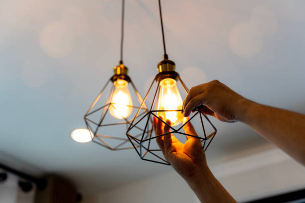 Best Electric Panel Repair  in Princeton, KY